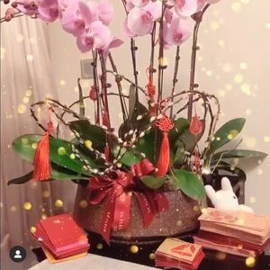 Meet your Posher, Thuy